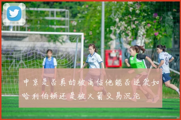 申京是否真的被高估他能否逆袭如哈利伯顿还是被火箭交易沉沦