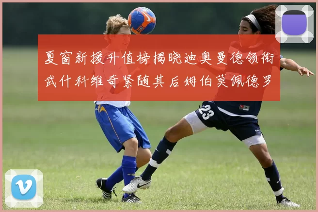 夏窗新援升值榜揭晓迪奥曼德领衔武什科维奇紧随其后姆伯莫佩德罗表现抢眼